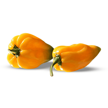 Big Sun Habanero Pepper Seeds - The Pepper Pantry (Formerly Marie Sharp's)
